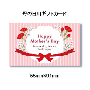 母の日・父の日キャンペーン